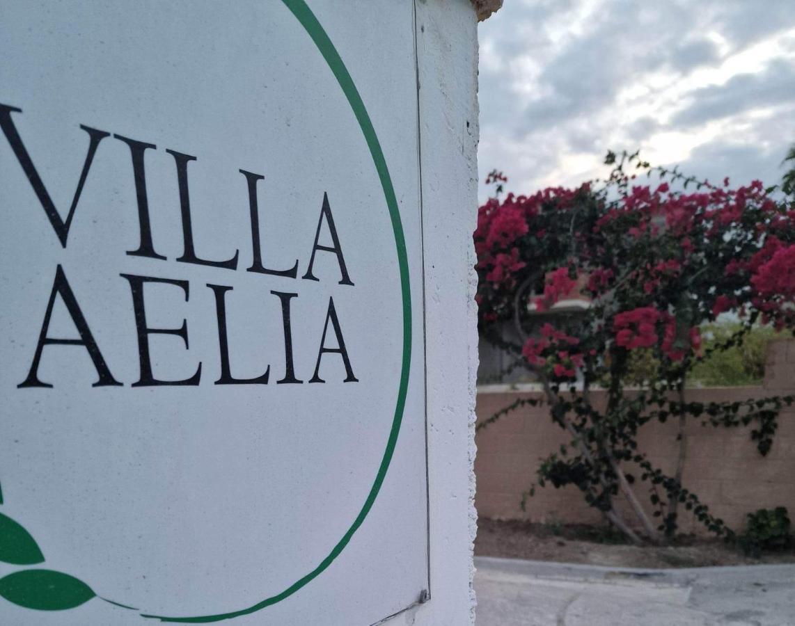 Aelia House Kefalos - Cozy & Quiet Exteriör bild